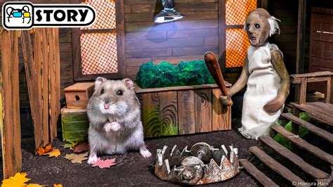 hamster grannies|Hamster Escape from the Maze in Granny's Scary House.